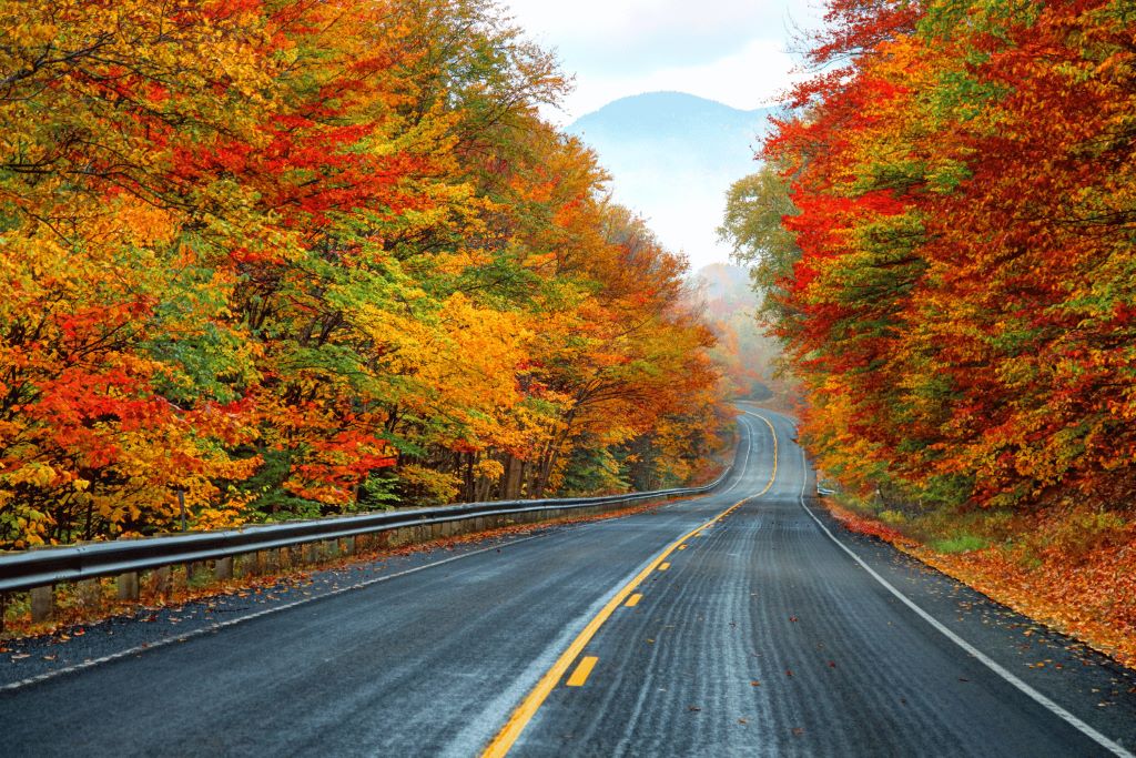Where in the US has the best fall foliage?