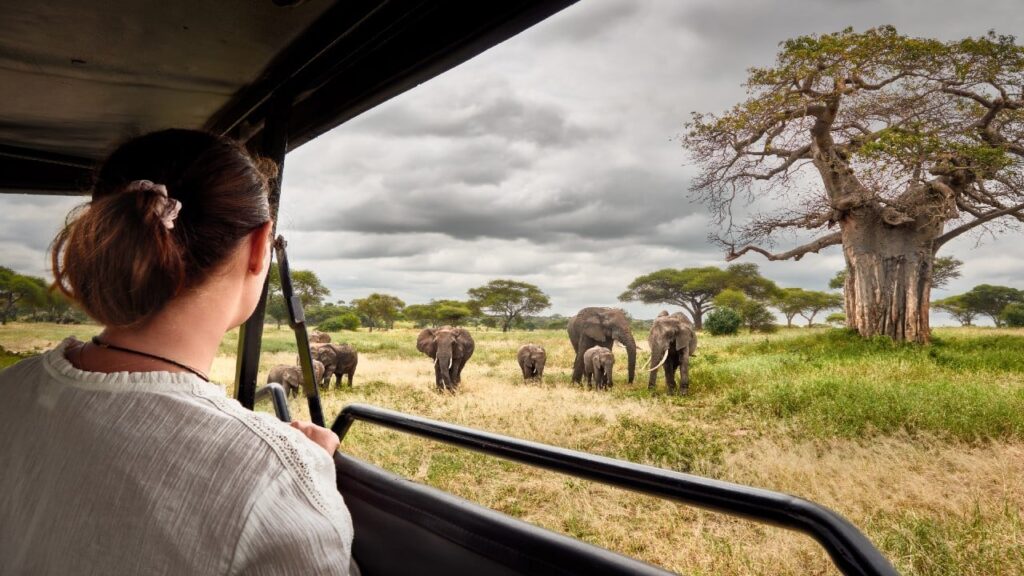 best time to travel to africa for safari​