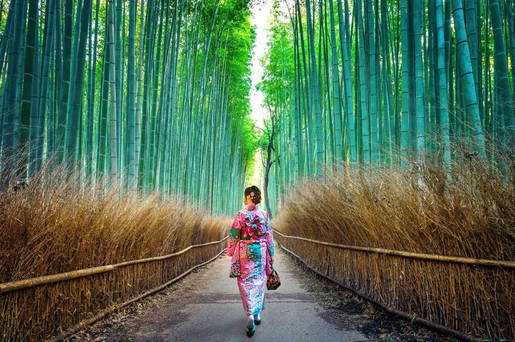 Experience Gion’s Geisha Culture