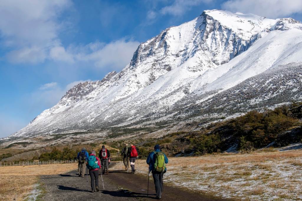 Stunning Torres del Paine landscape with snow-capped mountains and wildflowers
